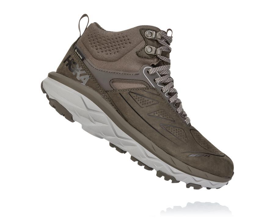 Sapatilhas Hoka One One Feminino Marrom - Challenger Mid Gore-Tex - 839-SGRZYN